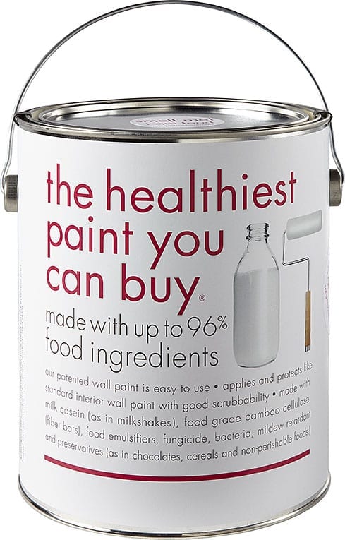 anna sova - food paint - can front photo
